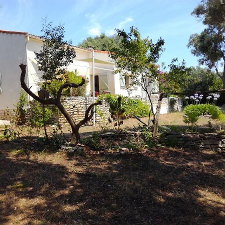 Bonifacio, Maison 90M² Sous Les Oliviers, Vue Sardaigne Bonifacio  Zewnętrze zdjęcie