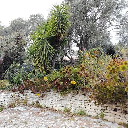 Bonifacio, Maison 90M² Sous Les Oliviers, Vue Sardaigne Bonifacio  Zewnętrze zdjęcie