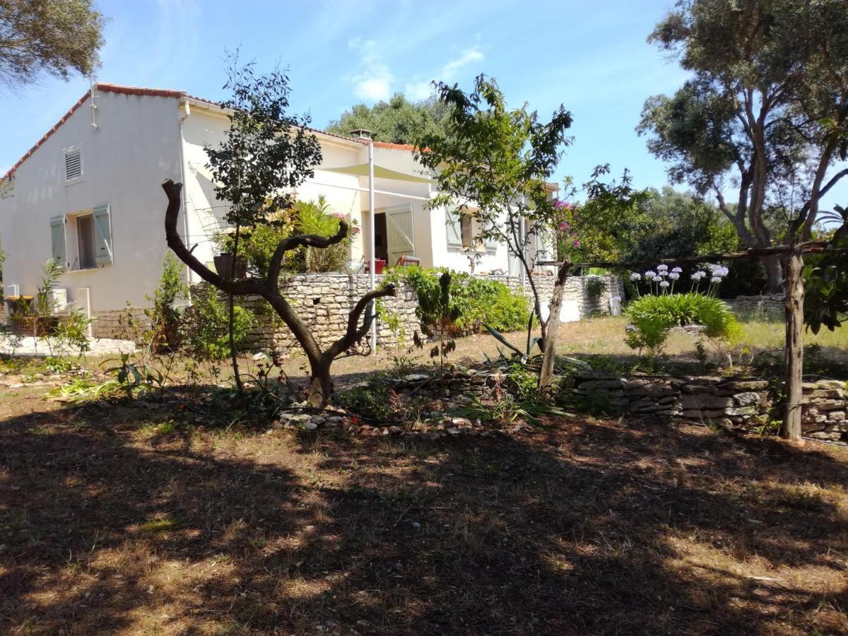 Bonifacio, Maison 90M² Sous Les Oliviers, Vue Sardaigne Bonifacio  Zewnętrze zdjęcie