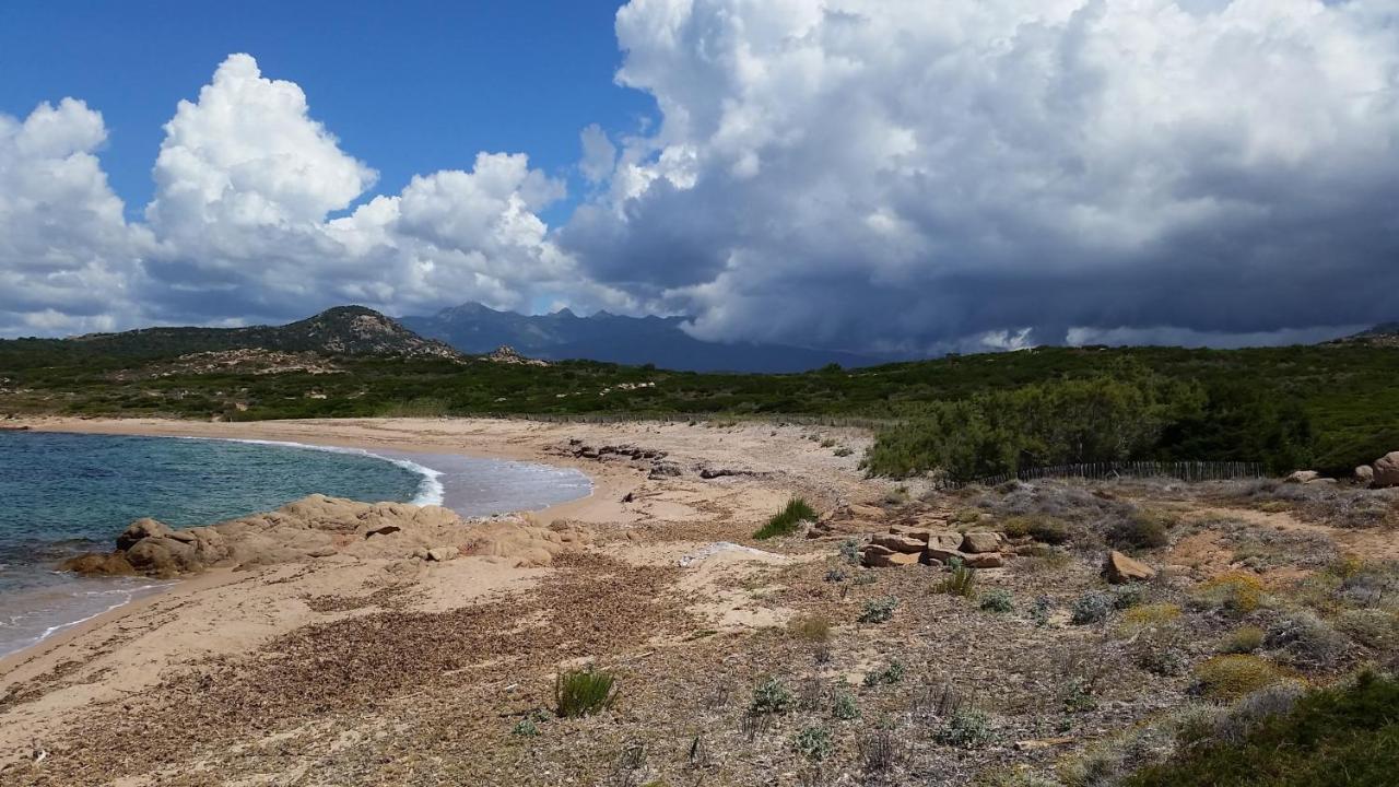 Bonifacio, Maison 90M² Sous Les Oliviers, Vue Sardaigne Bonifacio  Zewnętrze zdjęcie