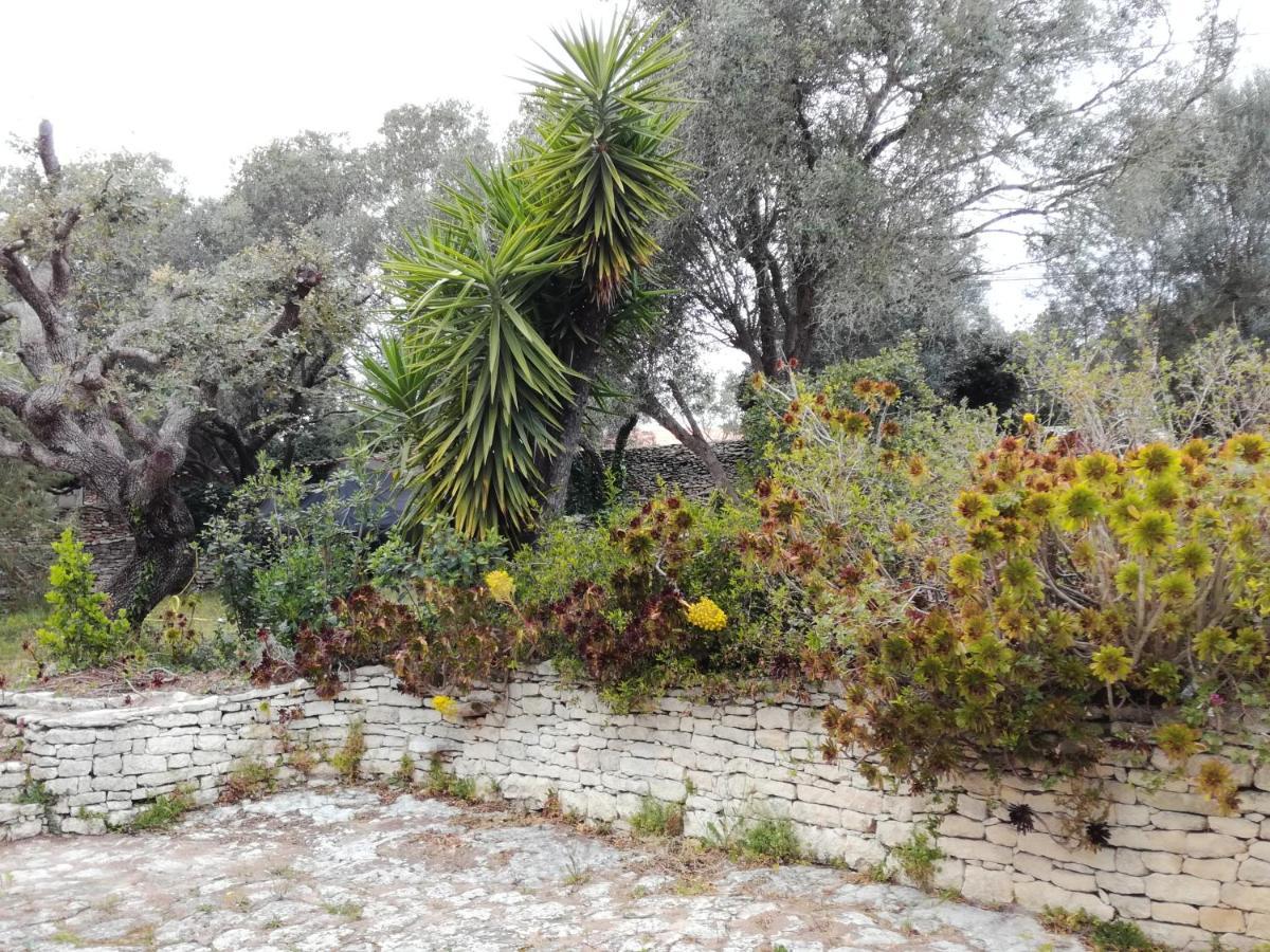 Bonifacio, Maison 90M² Sous Les Oliviers, Vue Sardaigne Bonifacio  Zewnętrze zdjęcie