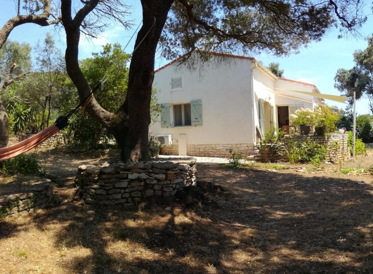 Bonifacio, Maison 90M² Sous Les Oliviers, Vue Sardaigne Bonifacio  Zewnętrze zdjęcie
