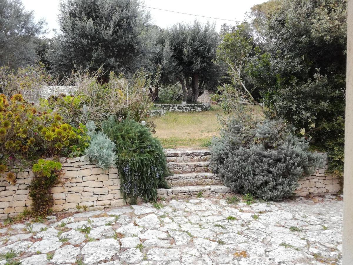 Bonifacio, Maison 90M² Sous Les Oliviers, Vue Sardaigne Bonifacio  Zewnętrze zdjęcie